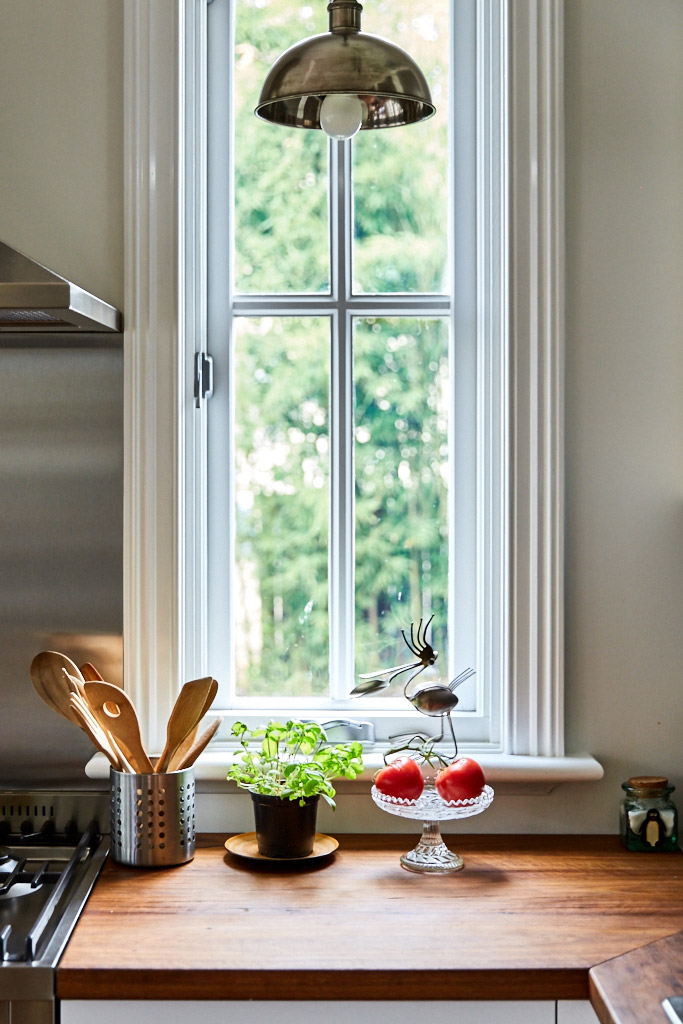 Kitchen window