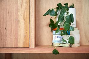timber bookcase with plant