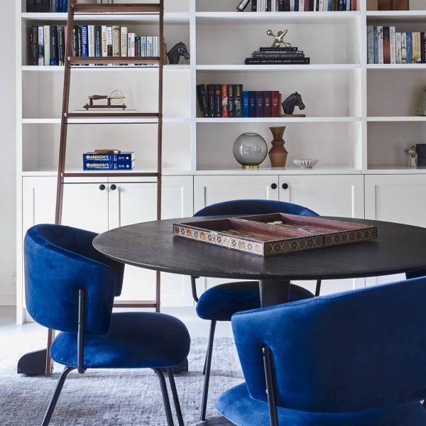 bookcase with library ladder